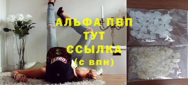 мяу мяу мука Бердск