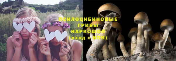 шишки Ачинск