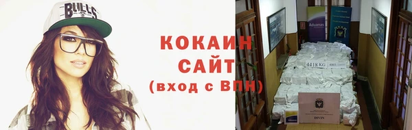 мяу мяу мука Бердск