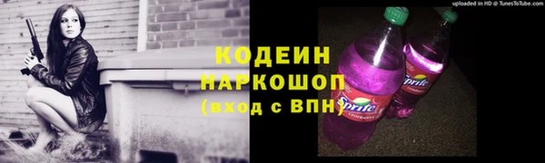 шишки Ачинск