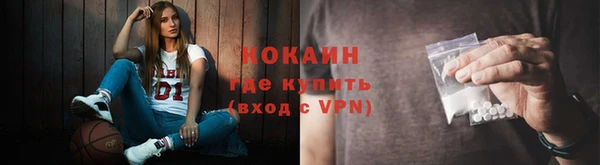 шишки Ачинск