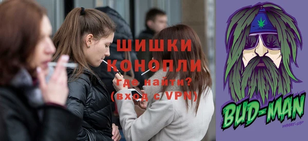 шишки Ачинск
