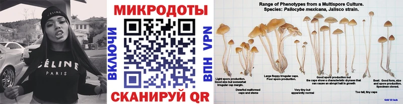 Купить где Петровск Псилоцибиновые грибы мицелий